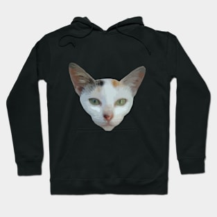 Cat Face Hoodie